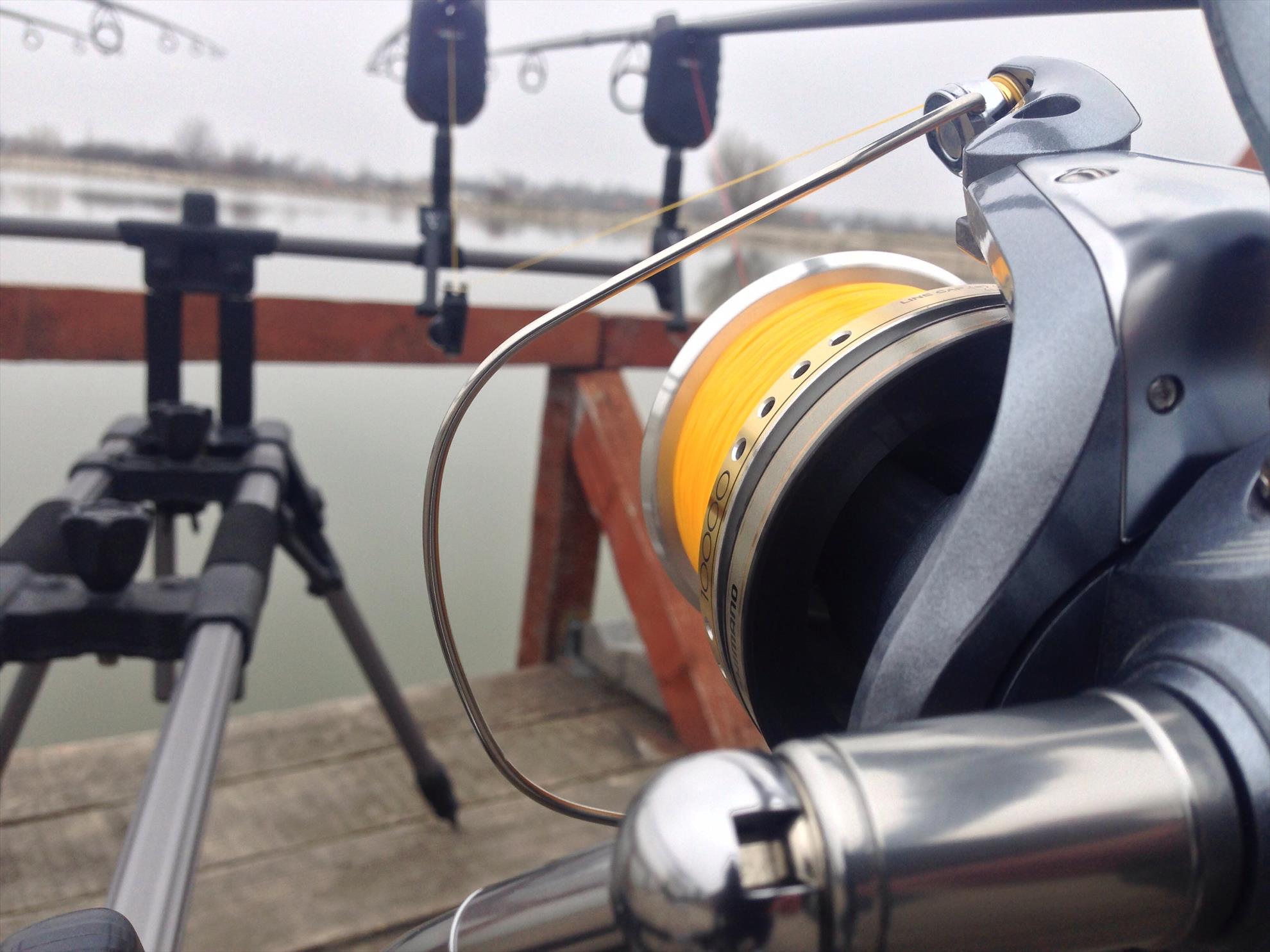 2013-4 - image1111111111111111111.jpg